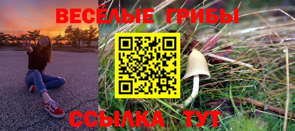 Галлюциногенные грибы прущие грибы  Галлюциногенные грибы мухоморы  Чернушка  Вход с VPN 